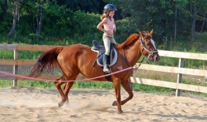 Learning-to-ride-horses