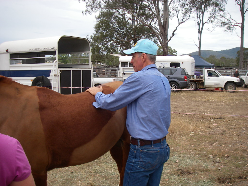 Treating at Widgee (2)