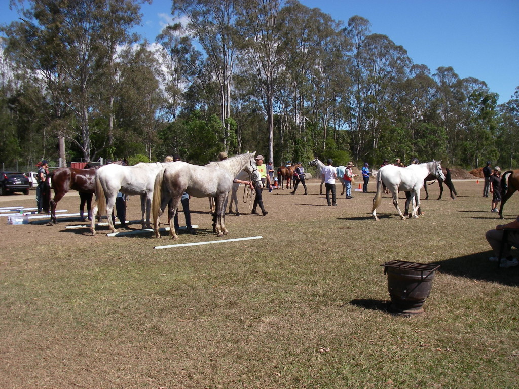 vettingatMurrumba