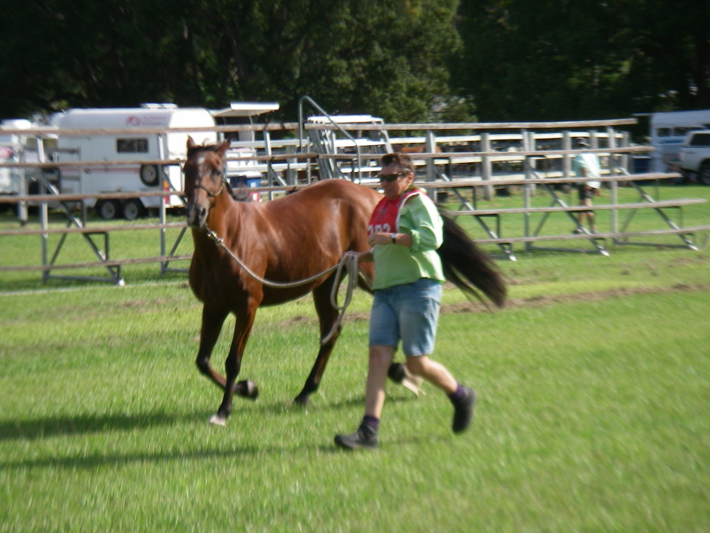 Imbil Endurance action